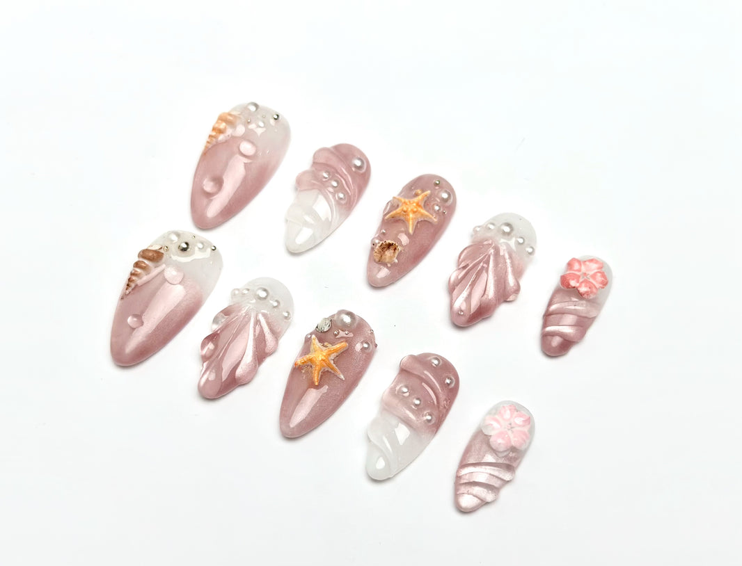 image Seashell Pink Blush