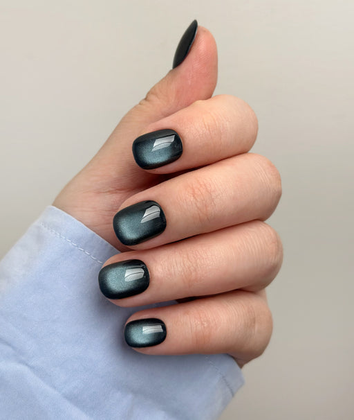 Navy - Capricorn