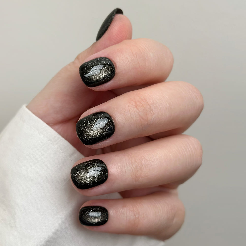 Black Bean
