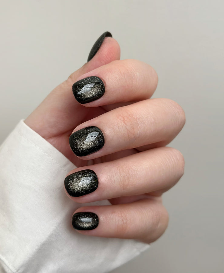 Black Bean